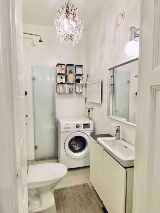 Glorious Apartment In Hakaniemi 赫尔辛基 外观 照片