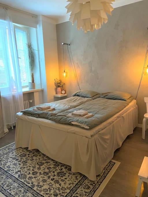Glorious Apartment In Hakaniemi 赫尔辛基 外观 照片